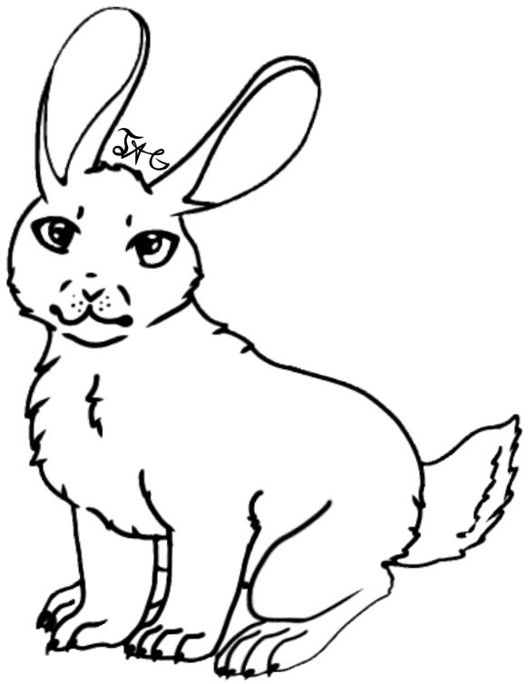 F2u rabbit base by LittleBearo7 on DeviantArt