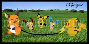 A Pikachu Family