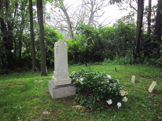 Evans Rd Cemetery 15