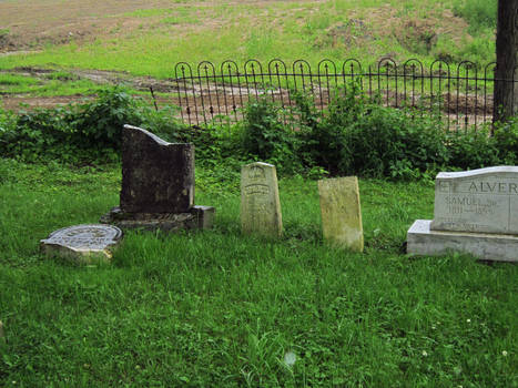 Evans Rd Cemetery 11