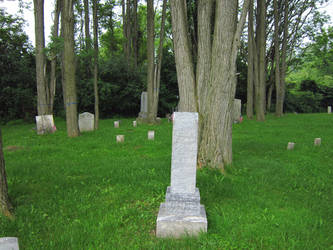 Evans Rd Cemetery 10