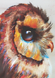 Owl in Color (2013)