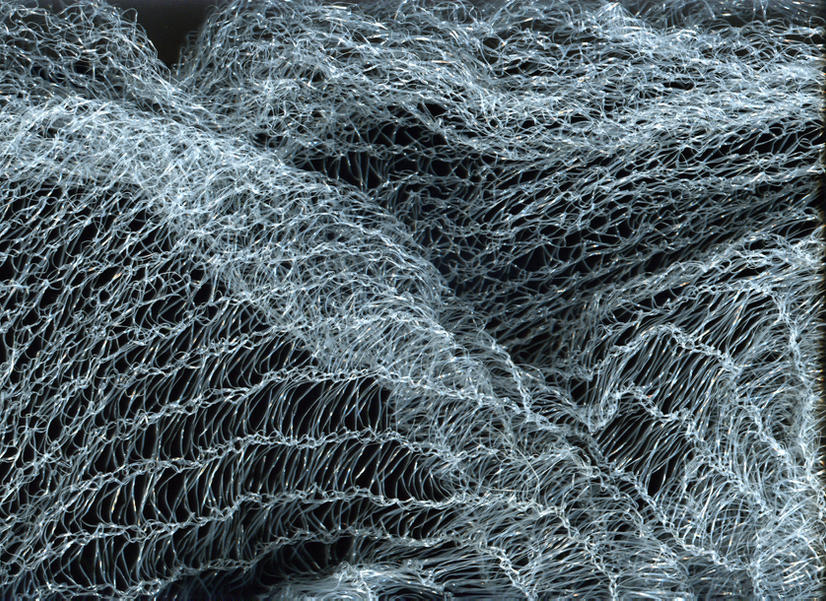 Fish, net one by teatoo