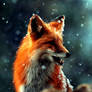 Fox,my love.