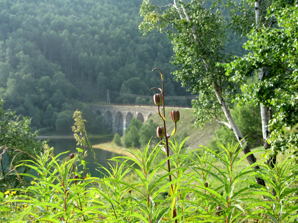 Guba Rivers The valley of the Bolshaya Krutaya Guba river by Solo-gub on DeviantArt
