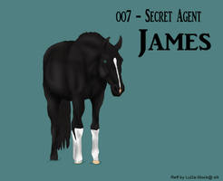 #007 TA Secret Agent - James