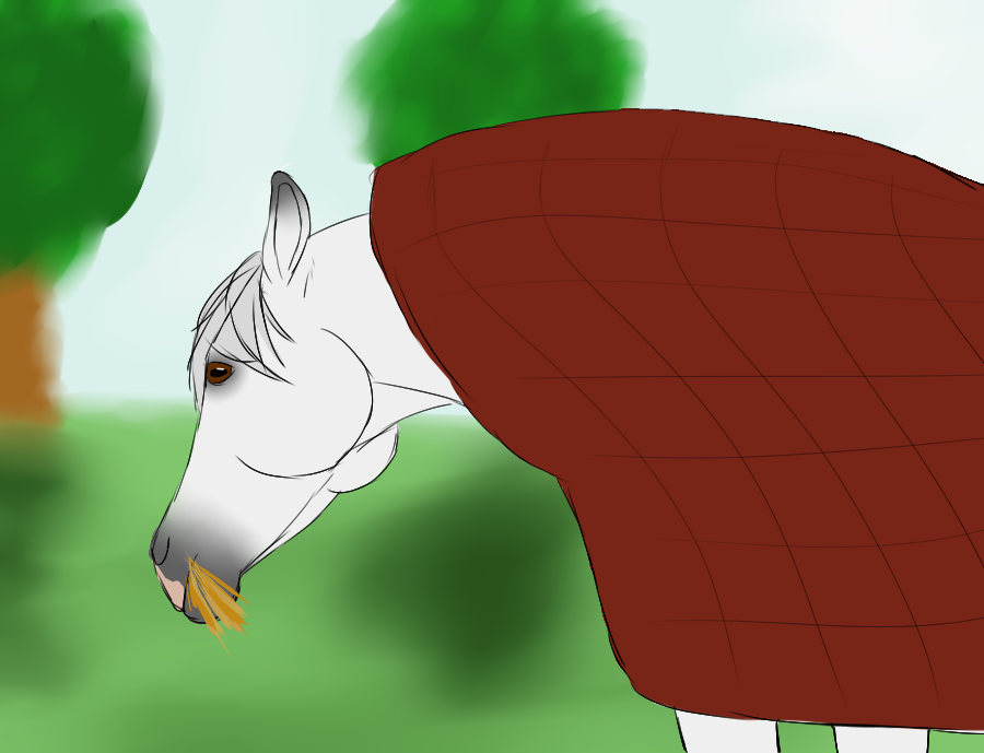 Nice And Cozy - TMS Move Day 18 by Happy-Horse-Stable