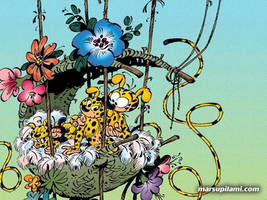 The Marsupilami