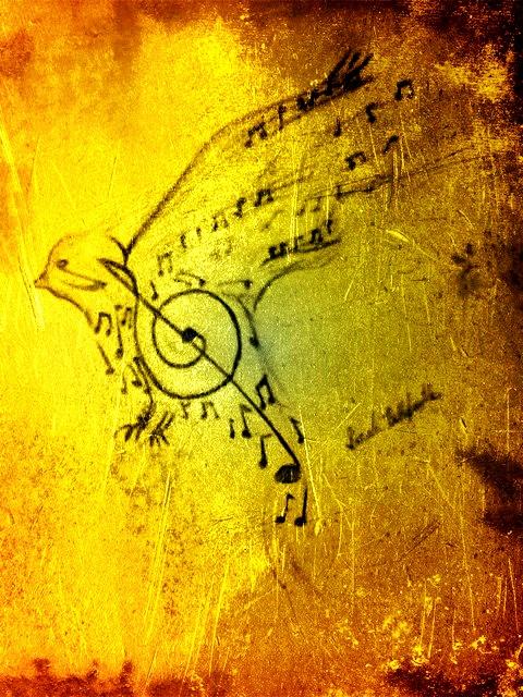 Music Bird Drawing Effect