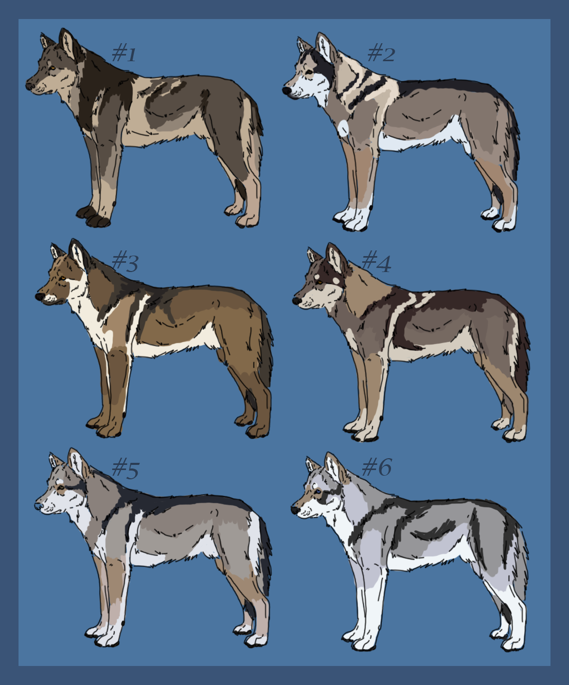 Wolfhound saarloos 2025