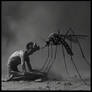 Bloodless