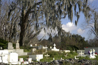 Cemetary on the Swamps