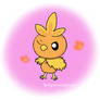 Torchic!