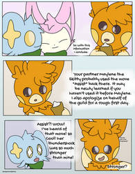 PMD Ward of Light | page 8 |