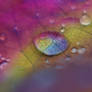 Rainbow Droplets
