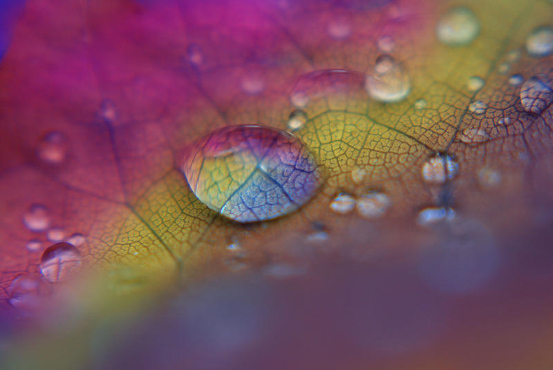 Rainbow Droplets