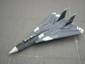 F-14 - ace combat