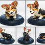 Gravity the Corgi Alternate Views