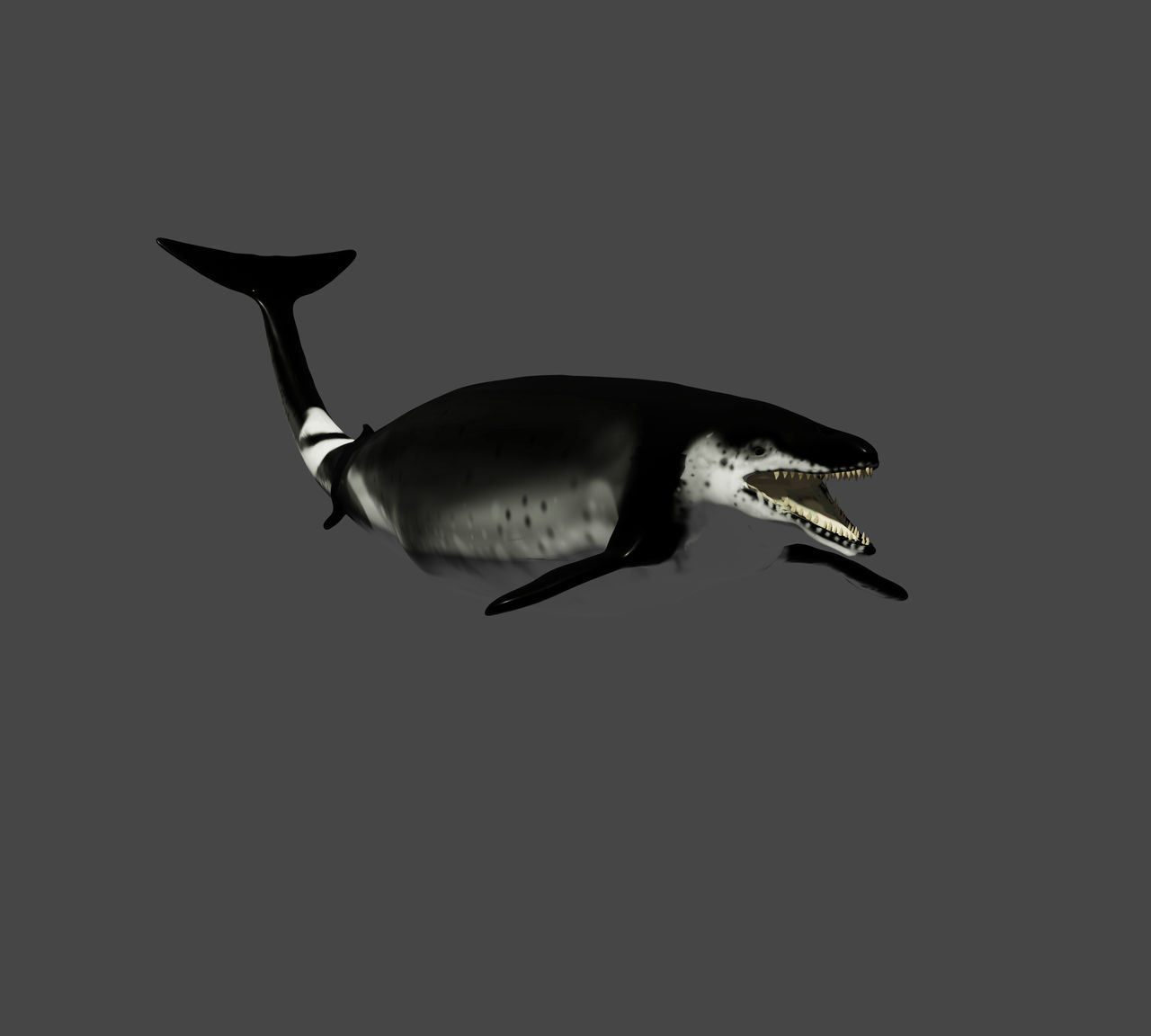 Minecraft Basilosaurus Basilosaurus without scene by WilliamGaspar on DeviantArt