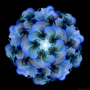 My Blue Flower