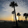 Sunset behind the Palm Trees