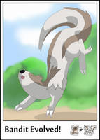 Bandit evolves into a Linoone!