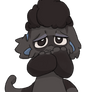 Haze Redesign