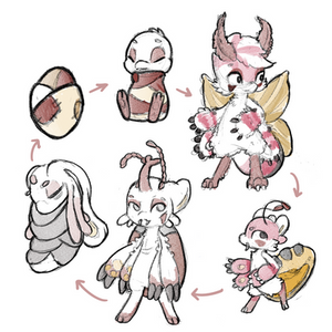 Bug Life Stages