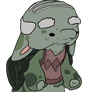 Turtle Redesign