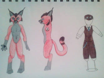 Furry OC: Steam the Caracal