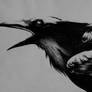 Ink art (Crow)