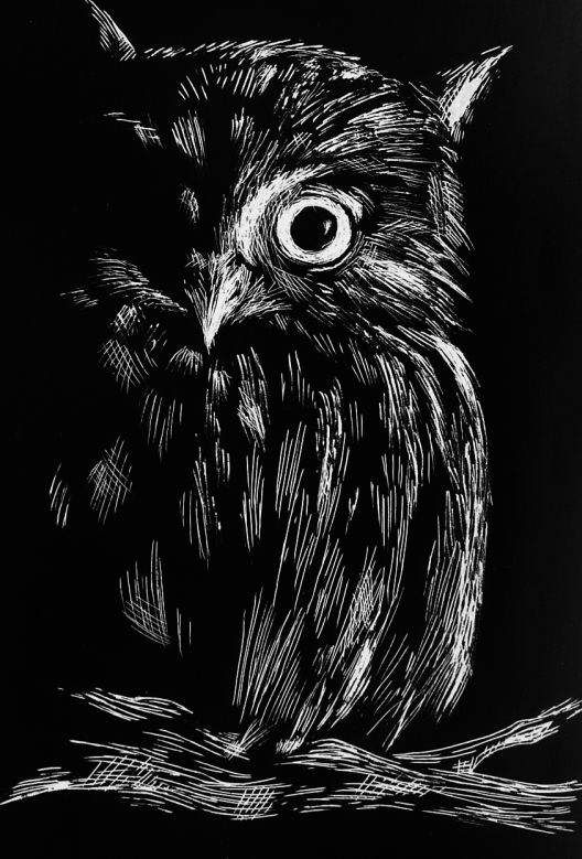 Scratch Board Owl