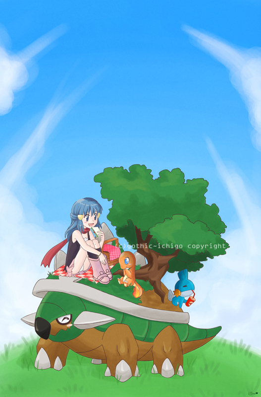 Picnic on Torterra