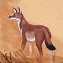 Speedpaint - Ethiopian Wolf