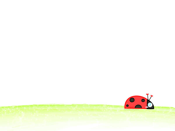 Lady Bug