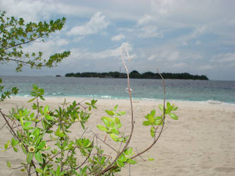 floating island