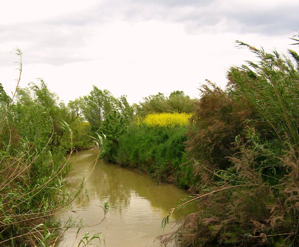 Colors of the Canal