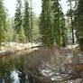 Along the Feather River