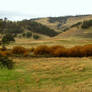 November Foothills 2