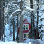 Red house in the woods