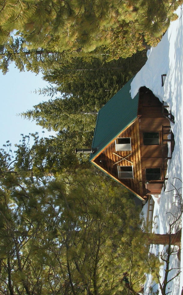 Cabin resting in the snow