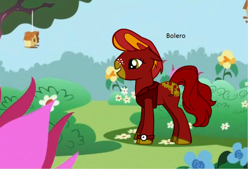 Bolero the A Capella Pony