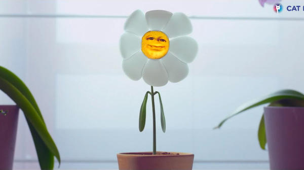 Smile Flower, Smile owo