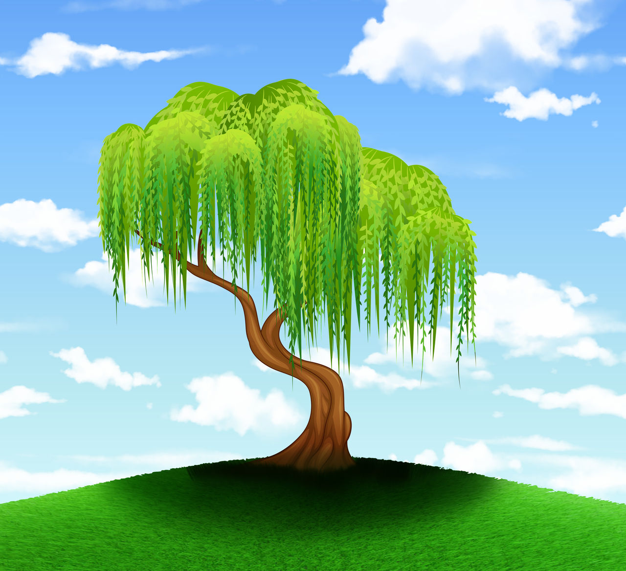 Willow-Tree-Haven | DeviantArt