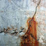 Cracked Wall 2