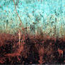 Dumpster Rust