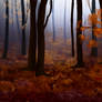 Autumn Forest BG