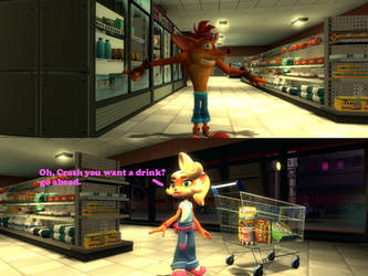 (Gmod) Crash and Coco Grocery Shopping