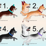 Mystery Dog Adopts [Closed]