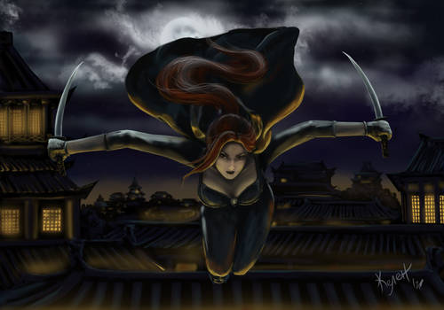 Swordswoman in the night